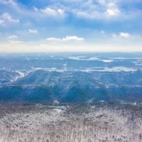 31 Acres with Cabin - Great Hunting Property images 3