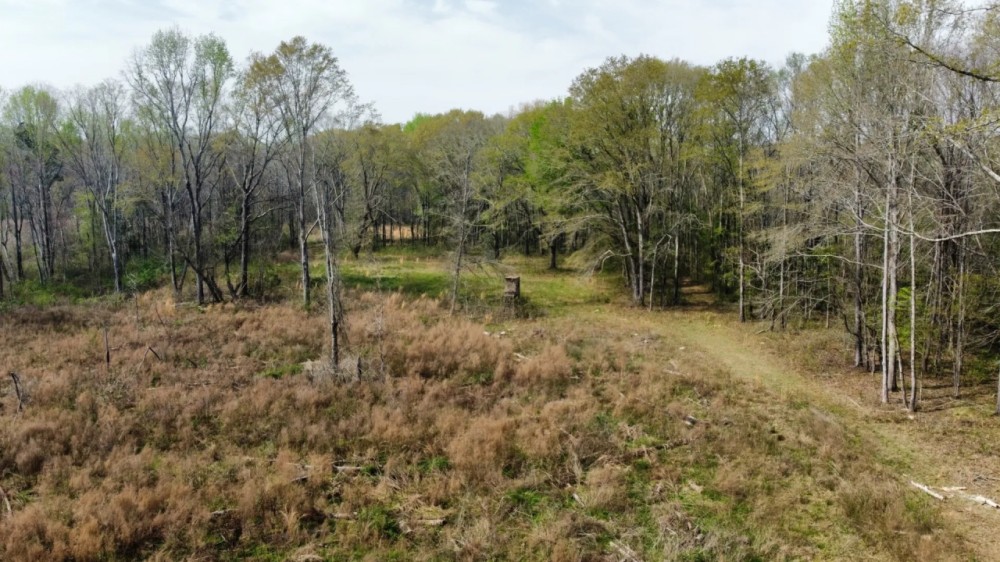95 - Acres Shorter AL featured image