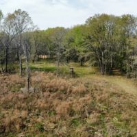 95 - Acres Shorter AL