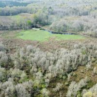 95 - Acres Shorter AL images 2