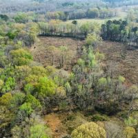 95 - Acres Shorter AL images 3