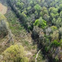 95 - Acres Shorter AL images 4