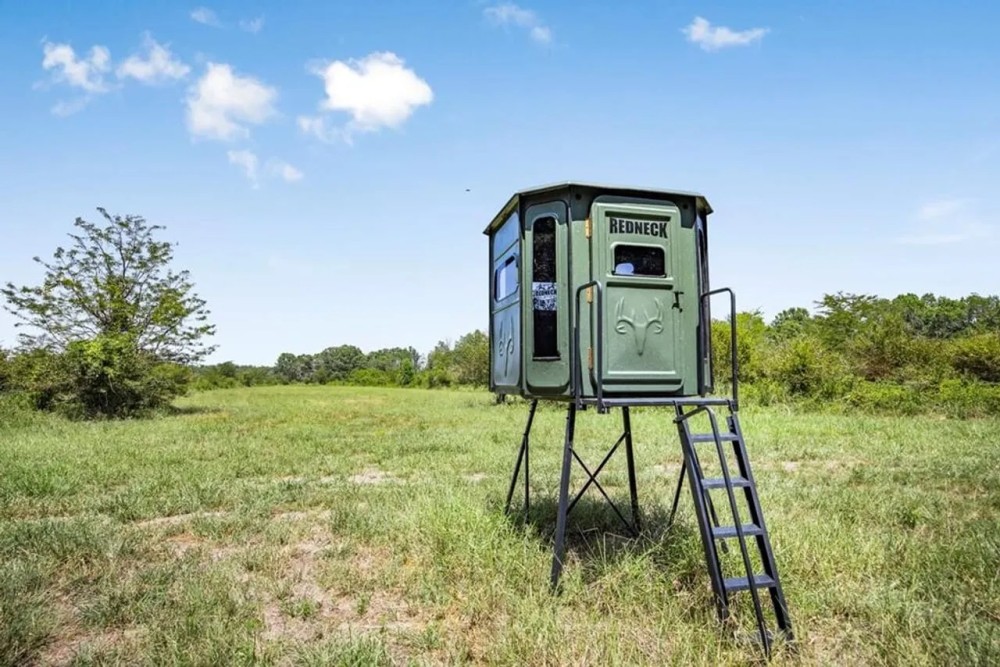 High Fence Ranch for Sale in Louisiana featured image