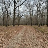 High Fence Ranch for Sale in Louisiana images 5