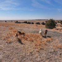 Acreage For Sale 89515 Meadville Rd. Springview Nebraska images 4