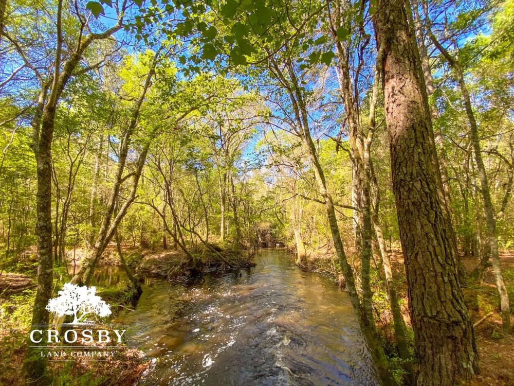 Battle Creek featured image