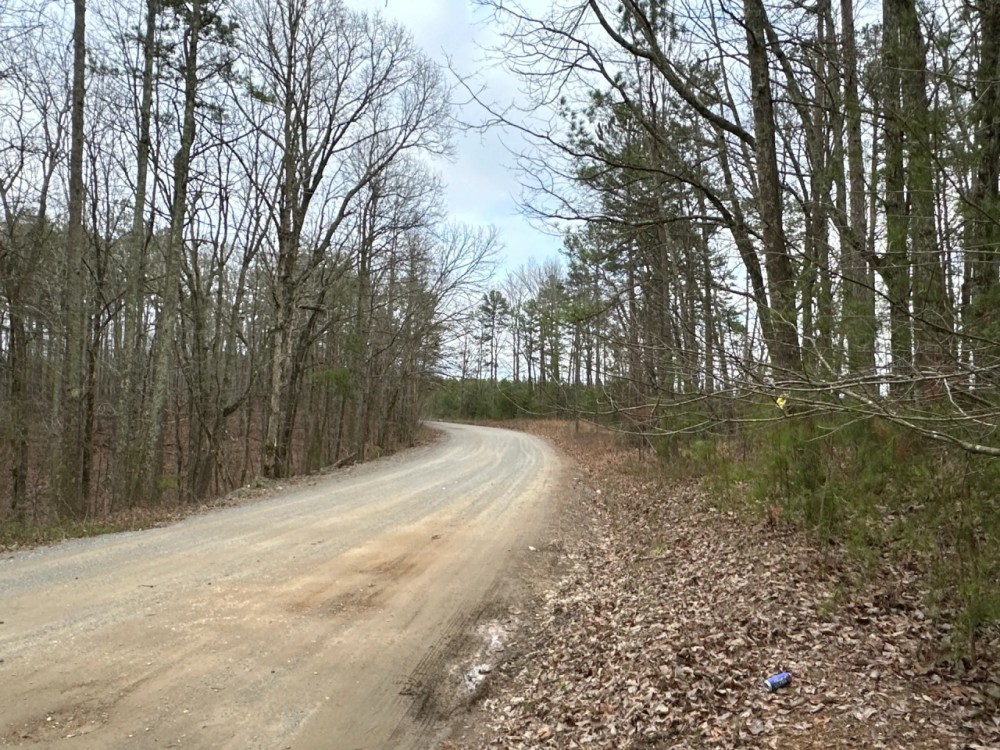 Treat Mountain Road featured image