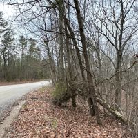 Treat Mountain Road images 2