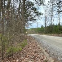 Treat Mountain Road images 5