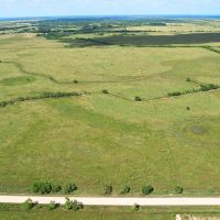 Needville Tract 10 12 Acre Only 15K Down images 2