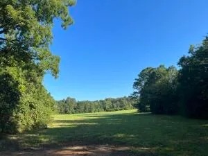 40 - Acres Developable Land in Oktibbeha County featured image