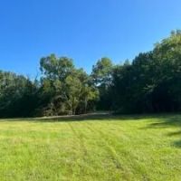 40 - Acres Developable Land in Oktibbeha County images 3