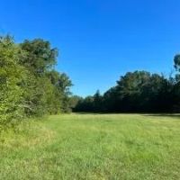 40 - Acres Developable Land in Oktibbeha County images 4