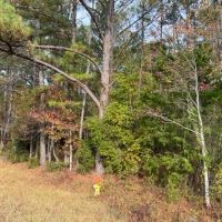 0 GA Highway 18 West Point GA images 5