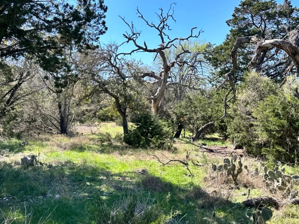 45 - Acres with 3 2 Bardominium Water well Oaks Hunting featured image