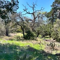 45 - Acres with 3 2 Bardominium Water well Oaks Hunting