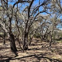 45 - Acres with 3 2 Bardominium Water well Oaks Hunting images 3