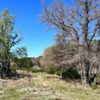 45 - Acres with 3 2 Bardominium Water well Oaks Hunting images 4