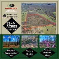 Secluded 32 - Acres