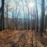 Secluded 32 - Acres images 2