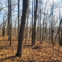 Secluded 32 - Acres images 3