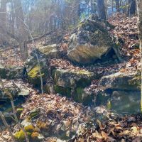 Secluded 32 - Acres images 5