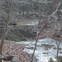 Add Stafford Rd images 2