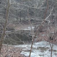 Add Stafford Rd images 4