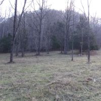 Add Stafford Rd images 5