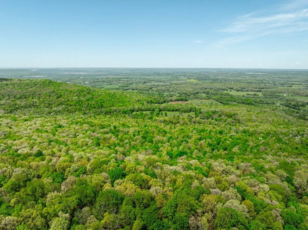 40 - Acres Mature Timber Pond CAVES Independence County Southside Arkansas featured image