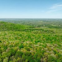 40 - Acres Mature Timber Pond CAVES Independence County Southside Arkansas