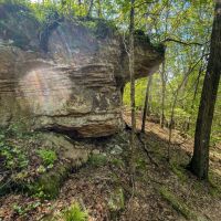 40 - Acres Mature Timber Pond CAVES Independence County Southside Arkansas images 5
