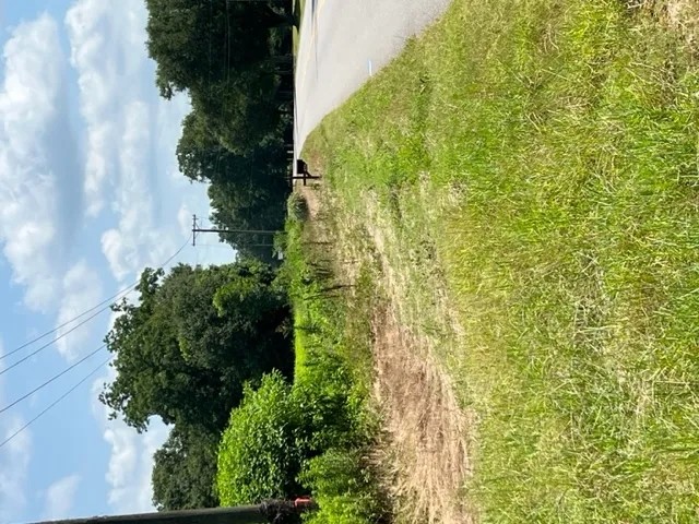 76 - Acre Farm Land Houston County AL featured image