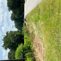 76 - Acre Farm Land Houston County AL
