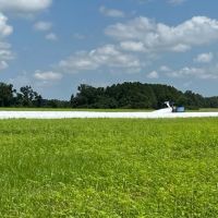 76 - Acre Farm Land Houston County AL images 3