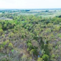 Turkey Creek Ranch images 4