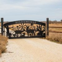 Solo Uno Mas Ranch Zavala County Texas images 2