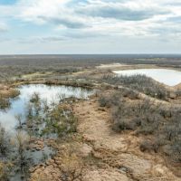 Solo Uno Mas Ranch Zavala County Texas images 4