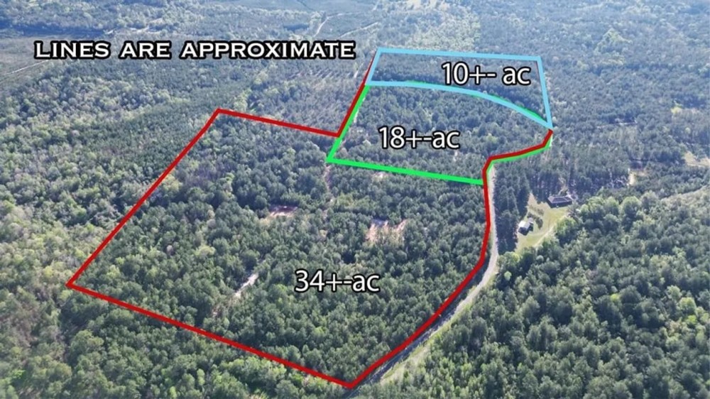 Small Hunting Tract in Amite County MS featured image