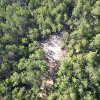 Small Hunting Tract in Amite County MS images 2