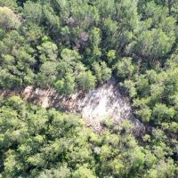 Small Hunting Tract in Amite County MS images 3