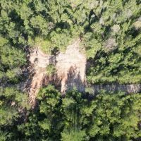 Small Hunting Tract in Amite County MS images 4