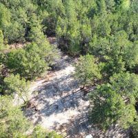 Small Hunting Tract in Amite County MS images 5