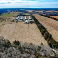 19.41 acres of Agricultural Land For Sale in Cumberland County VA images 2