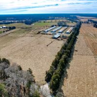 19.41 acres of Agricultural Land For Sale in Cumberland County VA images 3