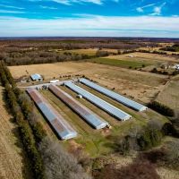 19.41 acres of Agricultural Land For Sale in Cumberland County VA images 5