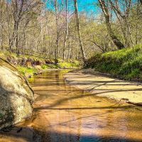 Hughes Mill Creek images 2