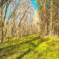 Hughes Mill Creek images 3