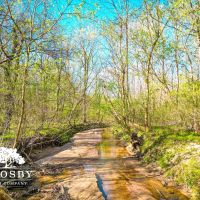 Hughes Mill Creek images 4