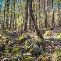 Hughes Mill Creek images 5